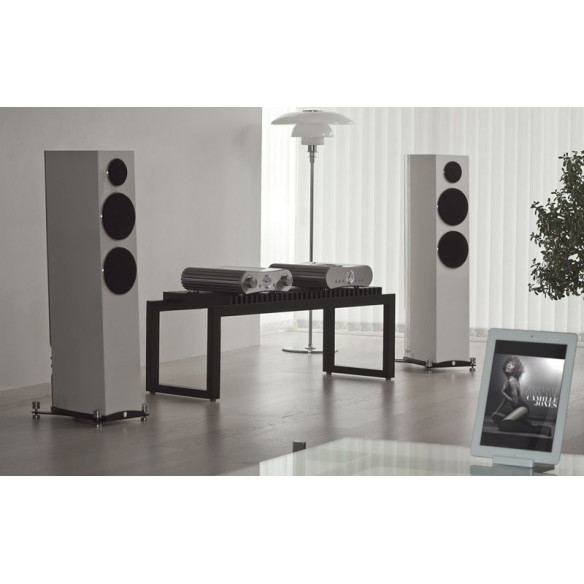 Gato Audio FM-6 - Enceintes Colonnes - Laqué Noir, Laqué Blanc ou Noyer Brillant
