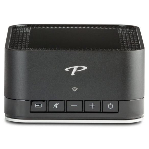 Paradigm PW-LINK - Préampli Stéréo - Noir