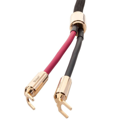 McIntosh CS 3M - Câbles Haut-Parleurs - Noir