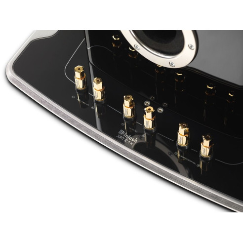 McIntosh XTR2.1K - Enceintes Colonnes - Noir