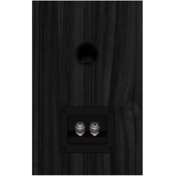 Fyne Audio F301 - Enceintes Bibliothèques - Frêne Noir, Chêne Clair ou Noyer