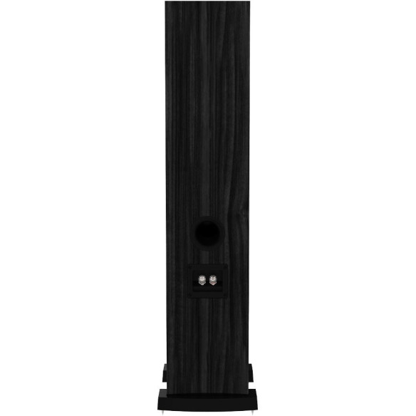 Fyne Audio F302 - Enceintes Colonnes - Frêne Noir, Chêne Clair ou Noyer