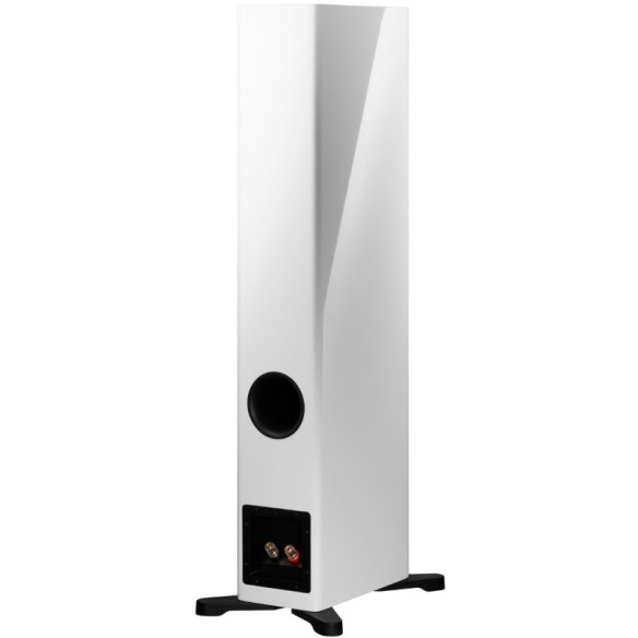 Dynaudio Evoke 30 - Enceintes Colonnes - Laquée Noire, Laquée Blanche, Noyer ou Bois Clair
