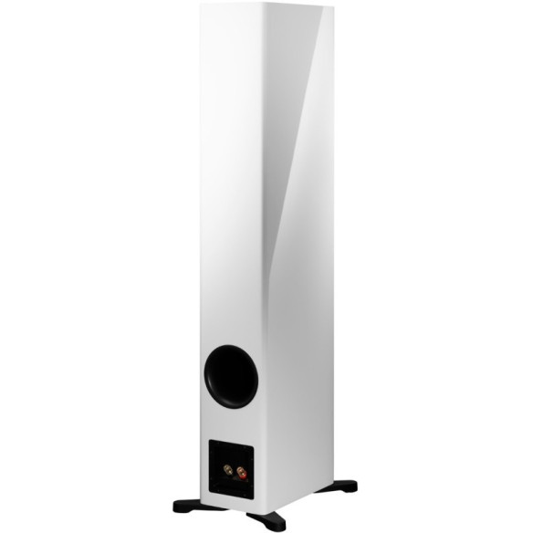 Dynaudio Evoke 50 - Enceintes Colonnes - Laquée Noire, Laquée Blanche, Noyer ou Bois Clair