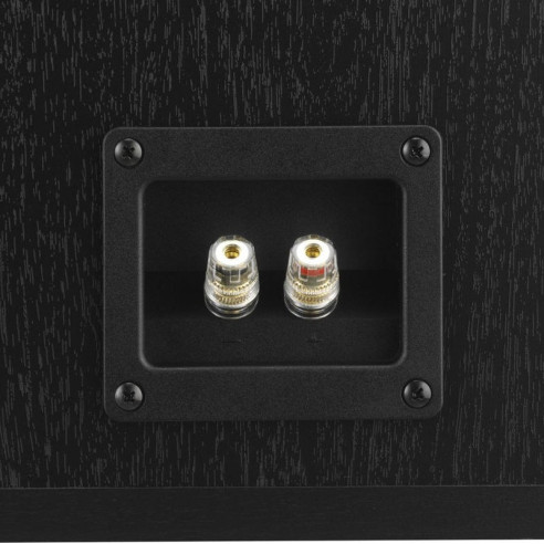 Dali Oberon 3 - Enceinte Bibliothèque - Noir, Bois, Noyer Foncé ou Blanc