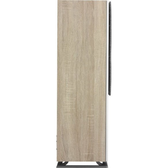 Dali Oberon 5 - Enceinte Colonne - Noir, Bois, Noyer Foncé ou Blanc