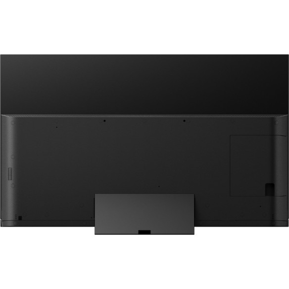 Panasonic TX-55GZ1500 - TV OLED - Noir