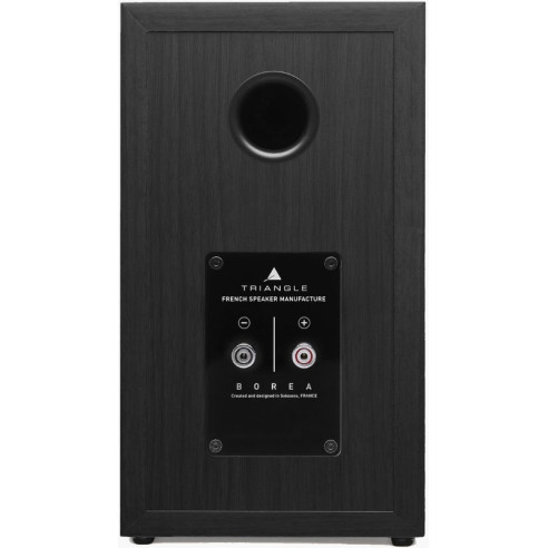 Triangle Borea BR02 - Enceintes Bibliothèques - Noir, Blanc, Noyer ou Light Oak