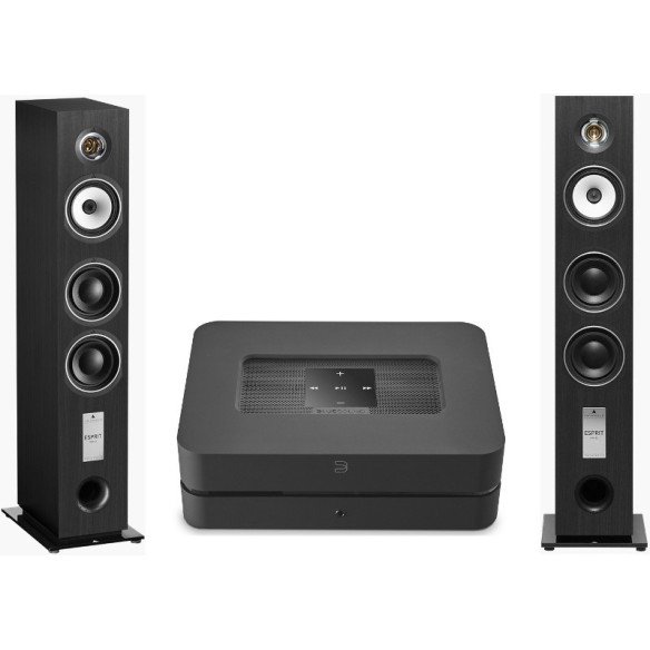 Pack Bluesound PowerNode 2i + Triangle GaiA EZ - Bois Noir ou Noyer