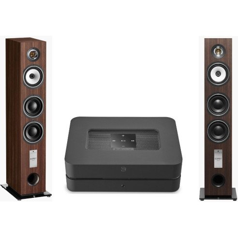 Pack Bluesound PowerNode 2i + Triangle GaiA EZ - Bois Noir ou Noyer
