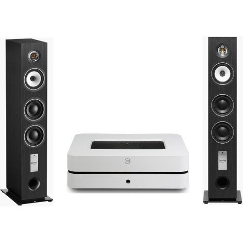Pack Bluesound PowerNode 2i + Triangle GaiA EZ - Bois Noir ou Noyer