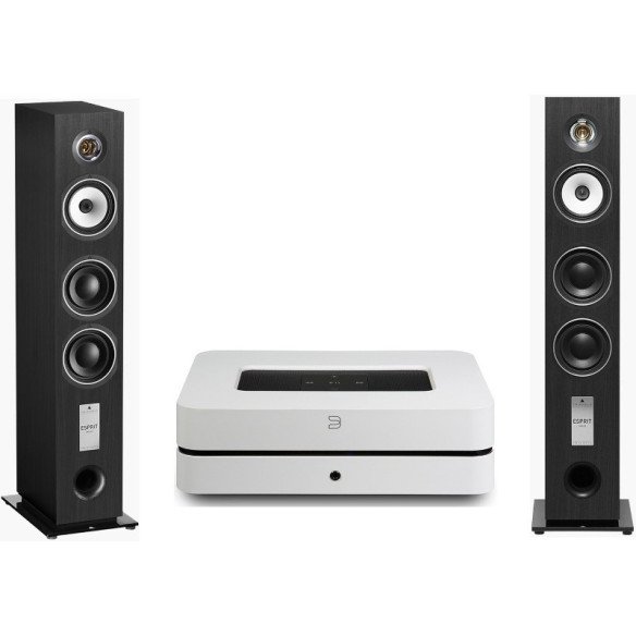Pack Bluesound PowerNode 2i + Triangle GaiA EZ - Bois Noir ou Noyer