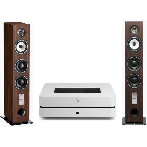 Pack Bluesound PowerNode 2i + Triangle GaiA EZ - Bois Noir ou Noyer