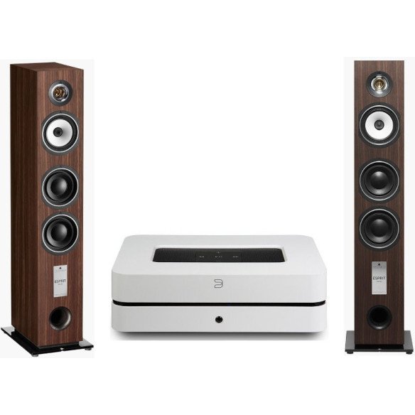 Pack Bluesound PowerNode 2i + Triangle GaiA EZ - Bois Noir ou Noyer