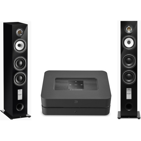 Pack Bluesound PowerNode 2i + Triangle Gaia EZ - Laqué Noir ou Laqué Blanc