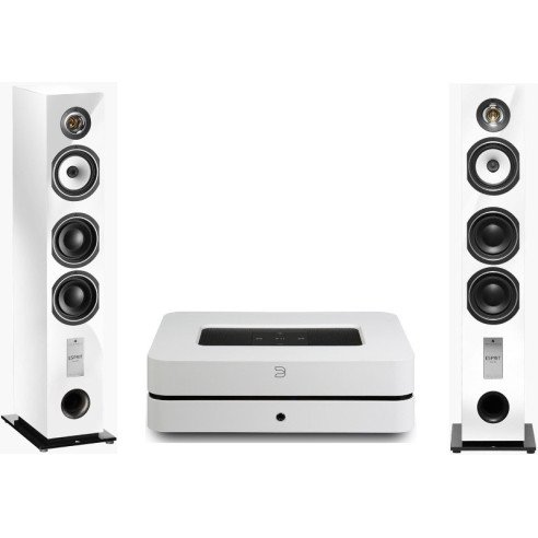 Pack Bluesound PowerNode 2i + Triangle Gaia EZ - Laqué Noir ou Laqué Blanc