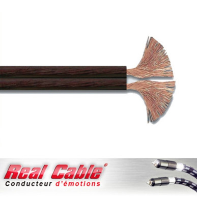 Real Cable P200N Evolution - Câble Haut-Parleur 2mm² noir