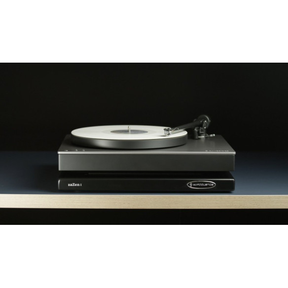 IsoAcoustics zaZen I - Plateau Absorbeur pour platine vinyle 11kg max