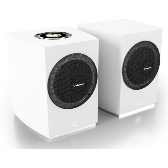 Cabasse Rialto - Enceintes Bibliothèques Amplifiées & Réseau