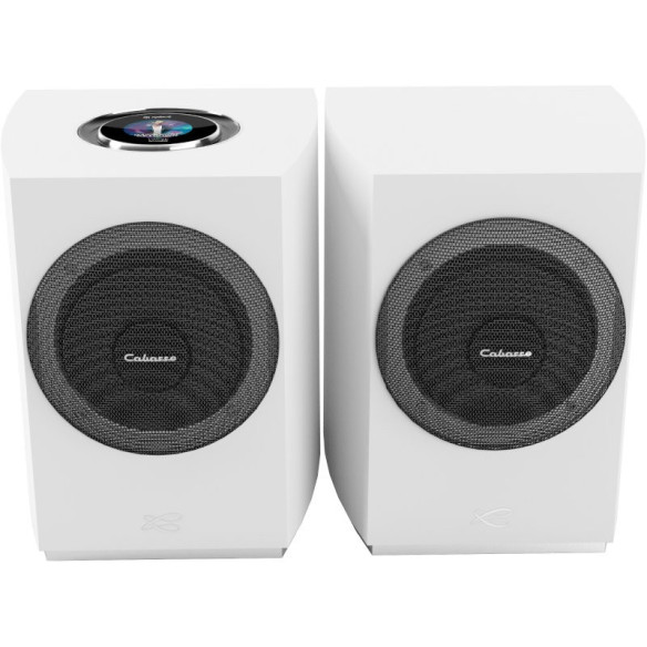 Cabasse Rialto - Enceintes Bibliothèques Amplifiées & Réseau