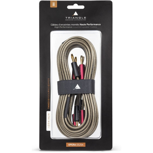 Triangle Pack Esprit Comete EZ + Advance Paris MyConnect 60 - Chaîne Hifi Connecté Compacte