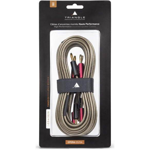 Triangle Pack Borea BR09 + Advance Paris Playstream A7 - Chaîne Hifi Connecté
