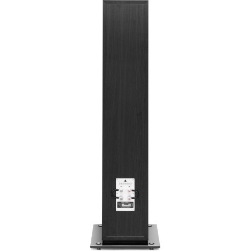 Triangle Pack Esprit Antal EZ + Primare i15 Prisma - Chaîne Hifi Connecté
