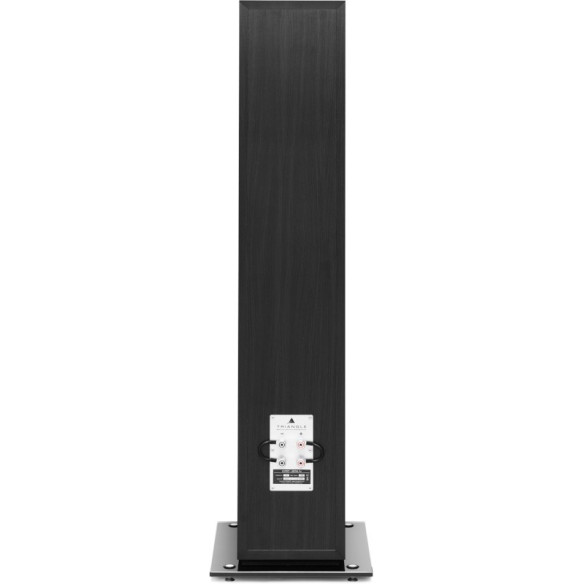 Triangle Pack Esprit Antal EZ + Primare i15 Prisma - Chaîne Hifi Connecté