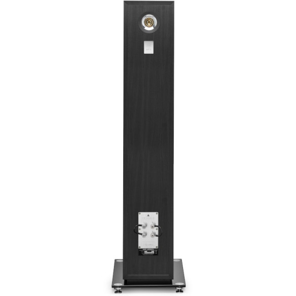 Triangle Pack Esprit Australe EZ + Primare i35 Prisma - Chaîne Hifi Connecté