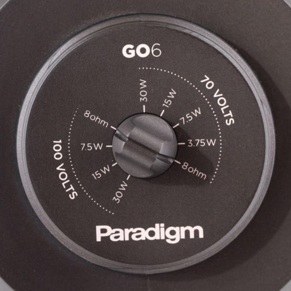 Paradigm Garden Oasis GO6 - Enceinte extérieur étanche