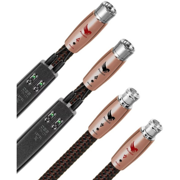 AudioQuest Pegasus XLR - Câbles de Modulation DOUBLE DBS 72V - 0,5m / 0,75m / 1m / 1,5m / 2m / 3m et plus