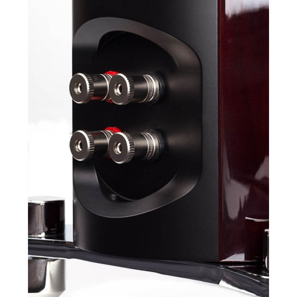 Paradigm Tribute 30th Anniversaire - Enceintes Colonnes - Acajou Laqué