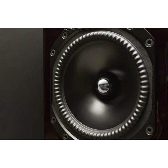 Paradigm Tribute 30th Anniversaire - Enceintes Colonnes - Acajou Laqué