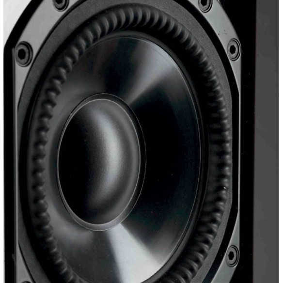 Paradigm Tribute 30th Anniversaire - Enceintes Colonnes - Acajou Laqué