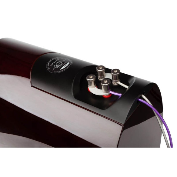 Paradigm Inspiration 30th Anniversaire - Enceintes Bibliothèques