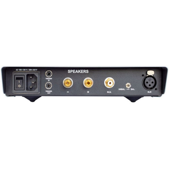NuPrime AMG ONE - Bloc de Puissance Mono 1x 170W RMS