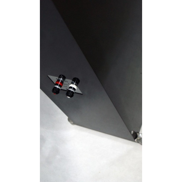 hORNS 5 Degrees N°19 - Enceintes Colonnes - Couleurs et Finitions sur mesure