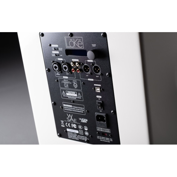 Wilson Audio LōKē - Caisson de Basses actif - 3 Types de Finitions Disponibles