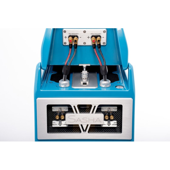 Wilson Audio Sasha V - Enceintes colonnes ultra haut de gamme