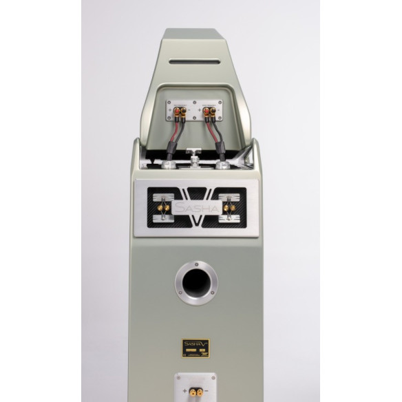 Wilson Audio Sasha V - Enceintes colonnes ultra haut de gamme