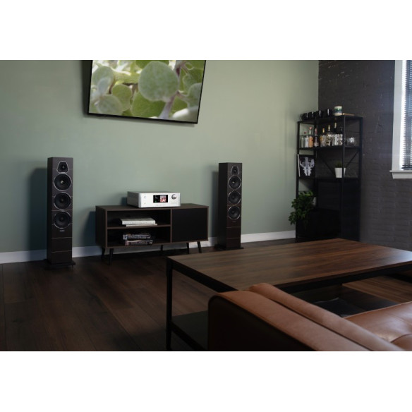 Rotel RAS-5000 - Ampli Stéréo Streamer Roon Ready 2x140W - Noir ou Silver