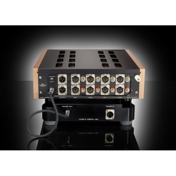 Dan d'Agostino Momentum Phonostage - Préampli Phono avec alimentation séparée - Noir ou Silver