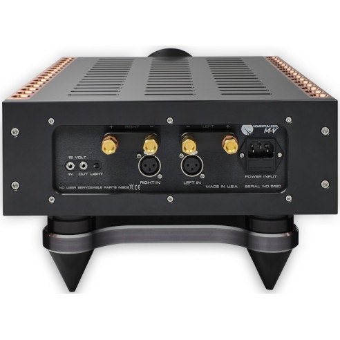 Dan d'Agostino Momentum S250 MxV - Bloc Stéréo 2x250 W - Noir ou Silver