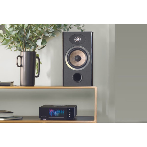Focal Aria Evo X N°1 - Enceintes Bibliothèques - Black High Gloss, Prime Walnut et Moss Green High Gloss