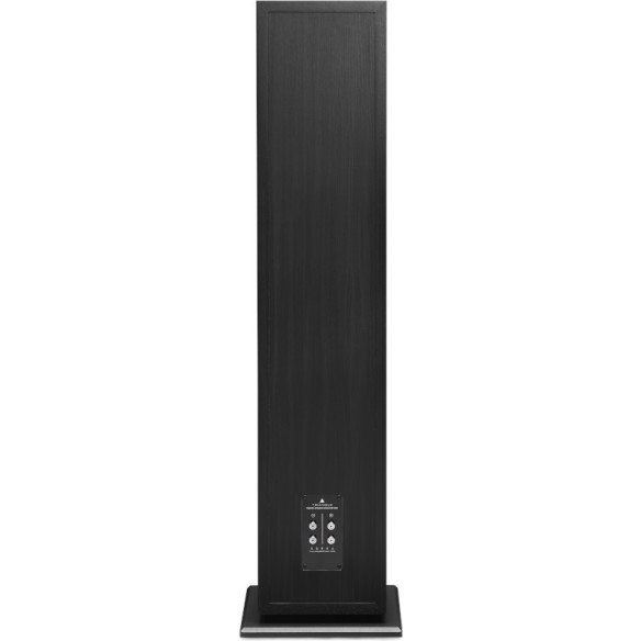 Triangle Borea BR10 - Enceintes Colonnes - Noir, Blanc, Noyer ou Bois Clair