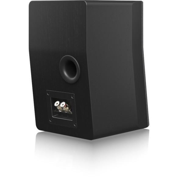 SVS Ultra Evolution Nano - Enceintes Bibliothèques Compactes - Black Oak, Black Gloss ou White Gloss