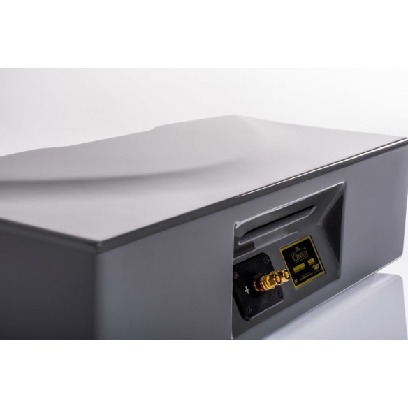 Wilson Audio WASAE Center - Enceinte Centrale Ultra Haut de Gamme