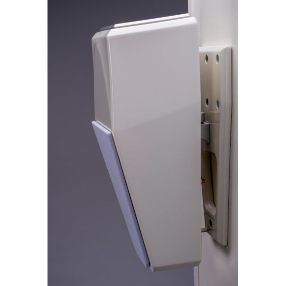 Wilson Audio Alida CSC - Enceinte Murale & Plafond Ultra Haut de Gamme