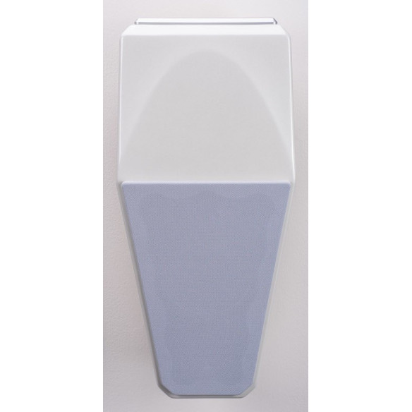 Wilson Audio Alida CSC - Enceinte Murale & Plafond Ultra Haut de Gamme