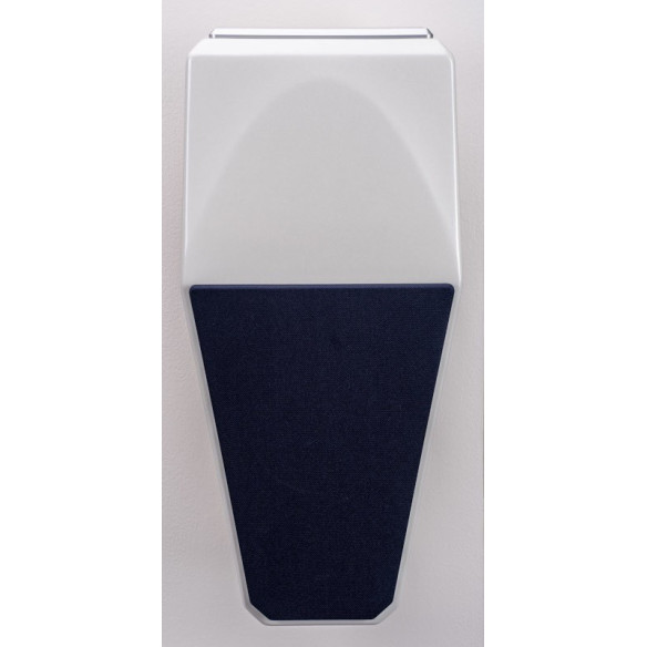Wilson Audio Alida CSC - Enceinte Murale & Plafond Ultra Haut de Gamme